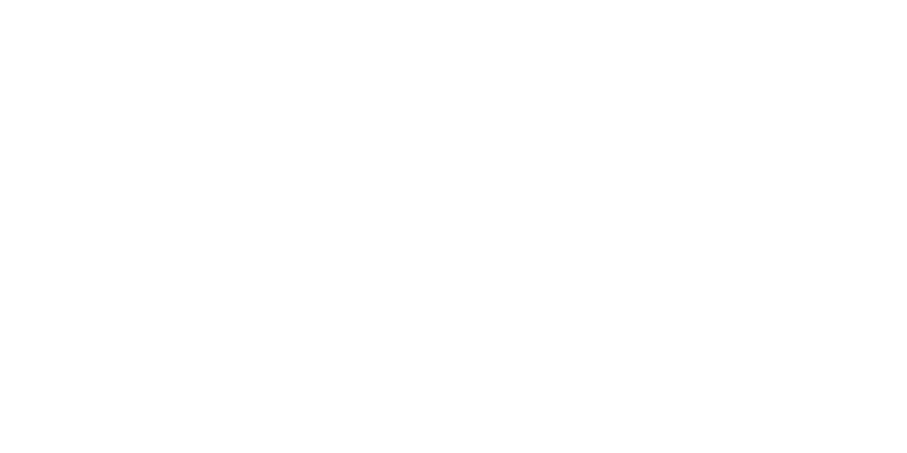 BULEVIP B